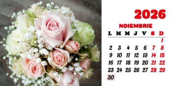 Calendar de birou 2026, Buchete, Darcom