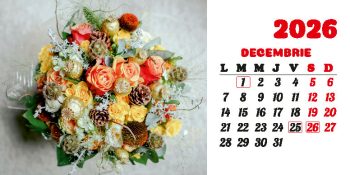 Calendar de birou 2026, Buchete, Darcom