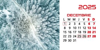 Calendar de birou 2025, Zbor, Darcom