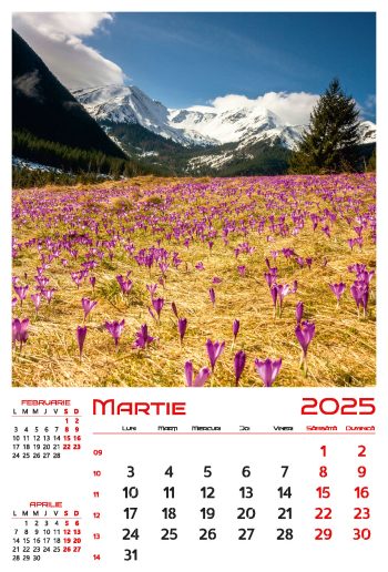 Calendar de perete 2025, Anotimpuri, Darcom