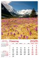 Calendar de perete 2025, Anotimpuri, Darcom