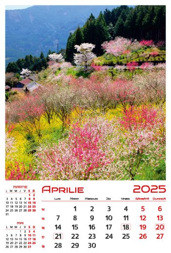 Calendar de perete 2025, Anotimpuri, Darcom