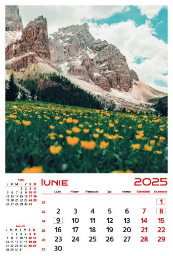 Calendar de perete 2025, Anotimpuri, Darcom