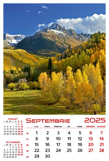 Calendar de perete 2025, Anotimpuri, Darcom