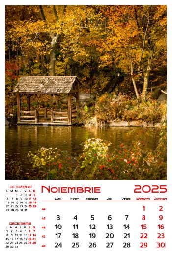 Calendar de perete 2025, Anotimpuri, Darcom