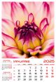 Calendar de perete 2025, Flori, Darcom