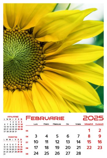 Calendar de perete 2025, Flori, Darcom