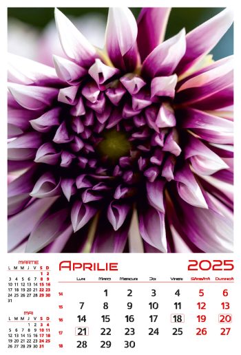 Calendar de perete 2025, Flori, Darcom