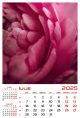 Calendar de perete 2025, Flori, Darcom