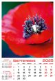 Calendar de perete 2025, Flori, Darcom