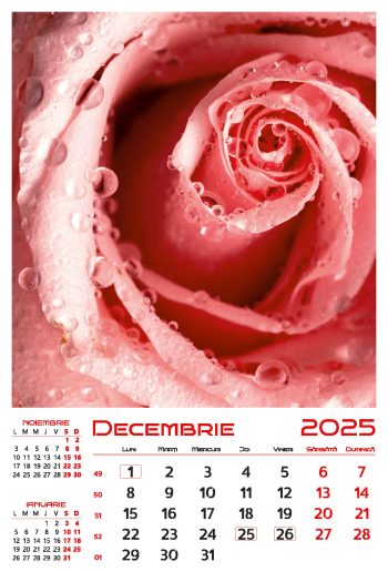 Calendar de perete 2025, Flori, Darcom