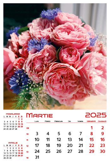 Calendar de perete 2025, Buchete, Darcom