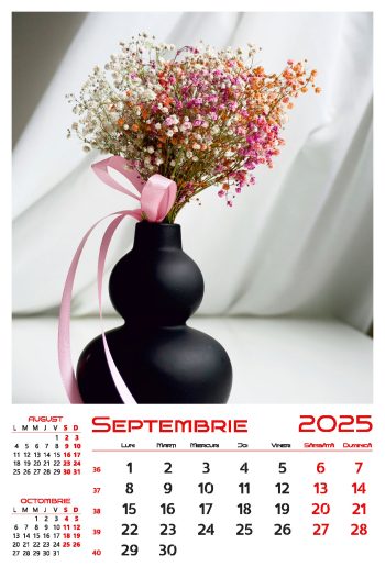 Calendar de perete 2025, Buchete, Darcom