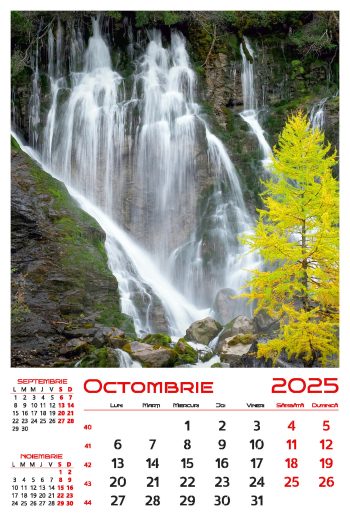 Calendar de perete 2025, Cascade, Darcom