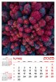 Calendar de perete 2025, Zbor, Darcom