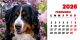 Calendar de birou 2026, Câini, Darcom