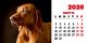 Calendar de birou 2026, Câini, Darcom