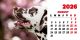 Calendar de birou 2026, Câini, Darcom
