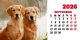 Calendar de birou 2026, Câini, Darcom