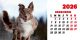 Calendar de birou 2026, Câini, Darcom