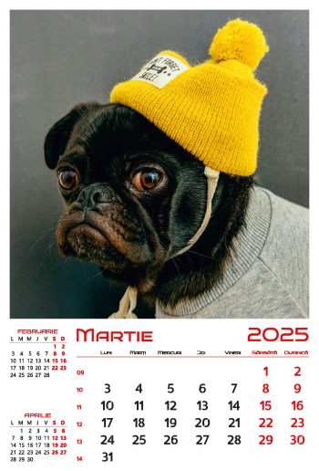 Calendar de perete 2025, Cățeluși, Darcom