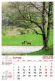 Calendar de perete 2025, Gorjul inedit, Darcom