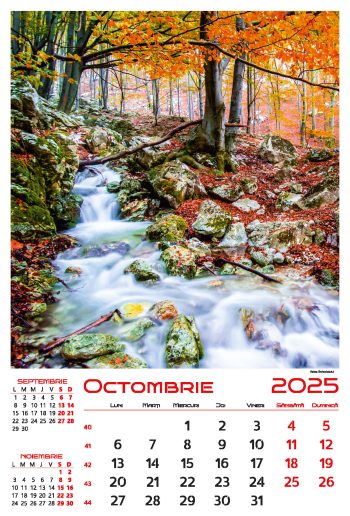 Calendar de perete 2025, Gorjul inedit, Darcom