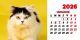 Calendar de birou 2026, Pisici, Darcom