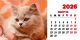 Calendar de birou 2026, Pisici, Darcom