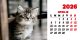Calendar de birou 2026, Pisici, Darcom