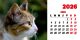 Calendar de birou 2026, Pisici, Darcom