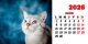 Calendar de birou 2026, Pisici, Darcom