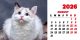 Calendar de birou 2026, Pisici, Darcom