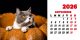 Calendar de birou 2026, Pisici, Darcom