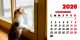 Calendar de birou 2026, Pisici, Darcom