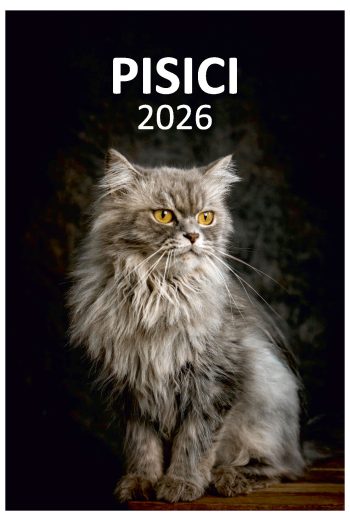 Calendar de perete 2026, Pisici, Darcom