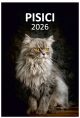 Calendar de perete 2026, Pisici, Darcom