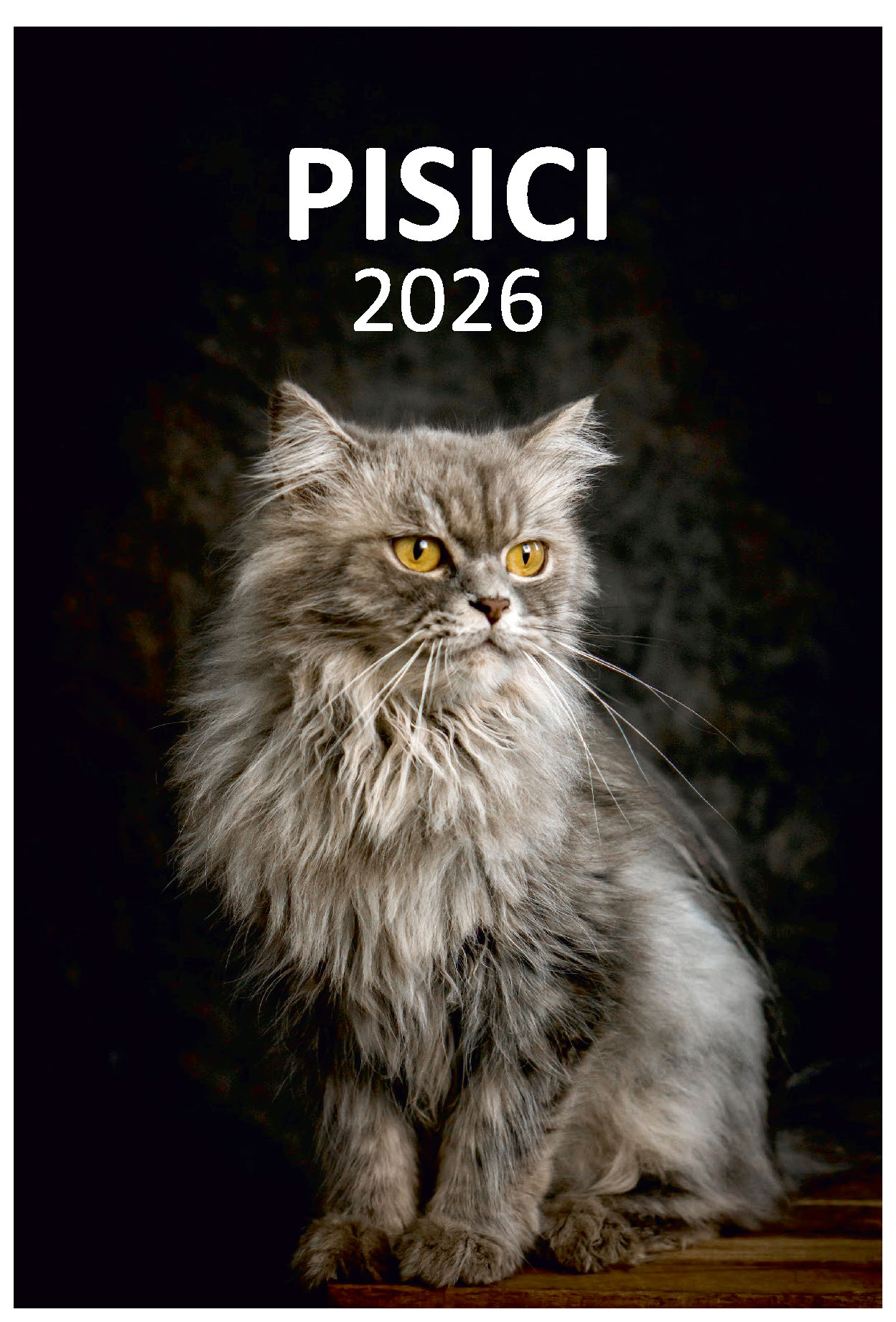 Calendar de perete 2026, Pisici, Darcom