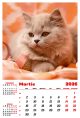 Calendar de perete 2026, Pisici, Darcom