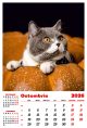 Calendar de perete 2026, Pisici, Darcom