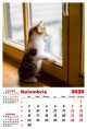 Calendar de perete 2026, Pisici, Darcom