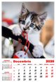 Calendar de perete 2026, Pisici, Darcom