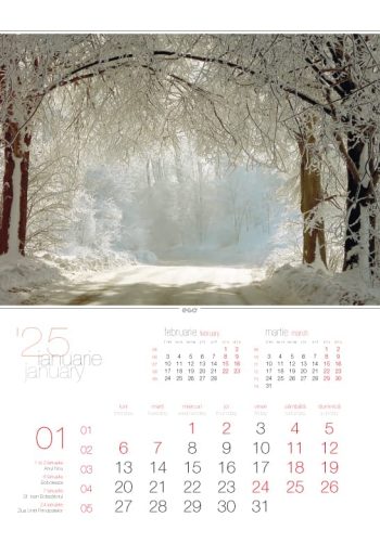 Calendar de perete 2025, Alei, Colecția EGO, Arta Grafica