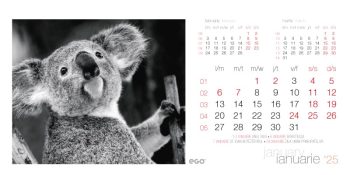 Calendar de birou “Animale”, Colecția EGO, Arta Grafica