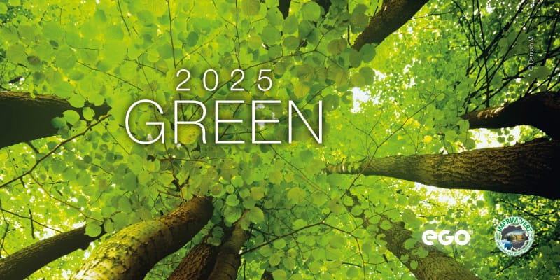 Calendar de birou “Green”, Colecția EGO, Arta Grafica