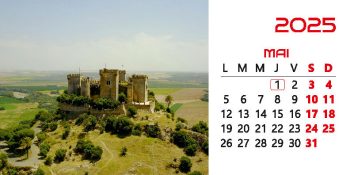 Calendar de birou 2025, Castele, Darcom