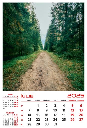 Calendar de perete 2025, Drumuri, Darcom