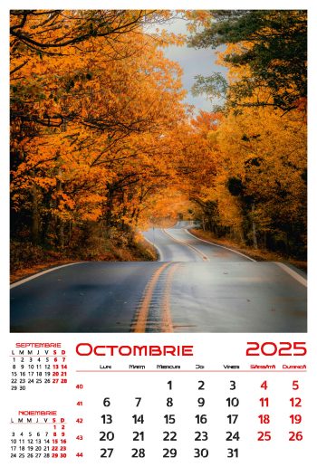 Calendar de perete 2025, Drumuri, Darcom