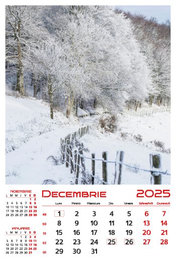 Calendar de perete 2025, Drumuri, Darcom