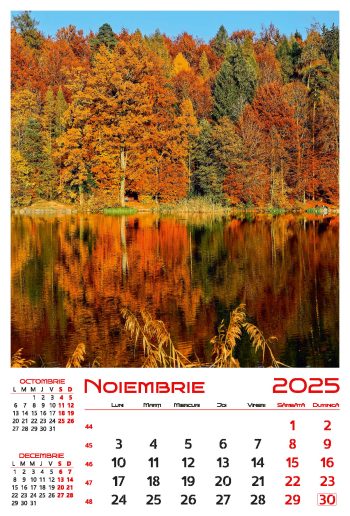 Calendar de perete 2025, Lacuri, Darcom